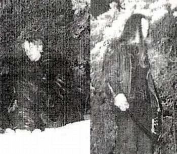 Leviatan