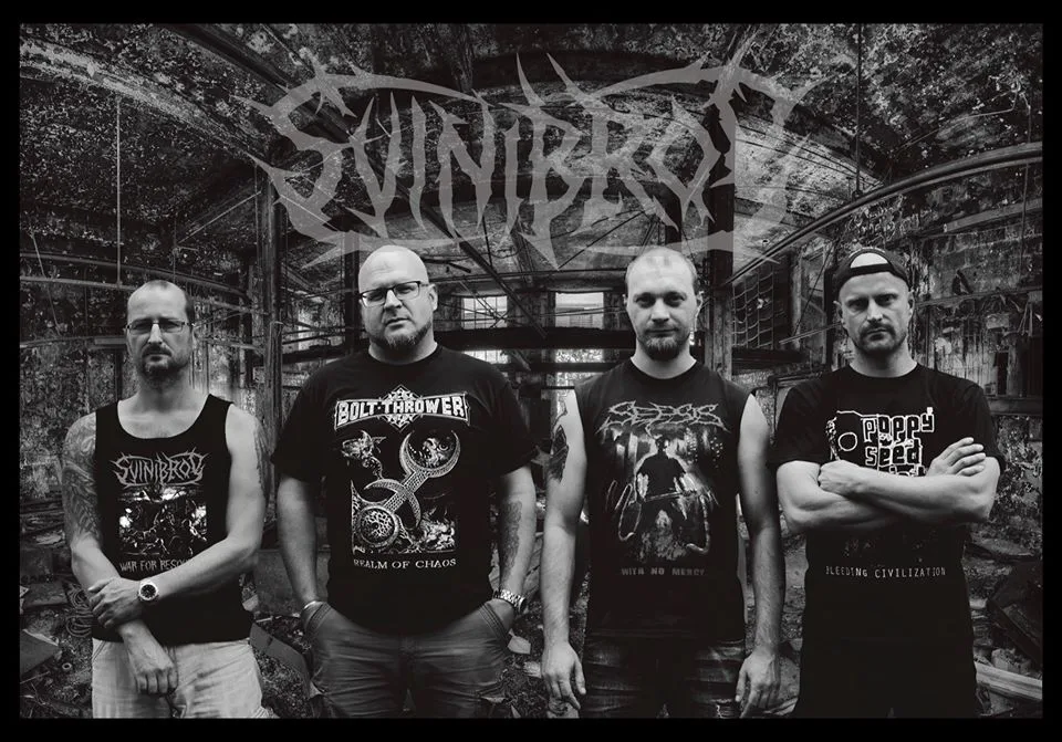 Svinibrod