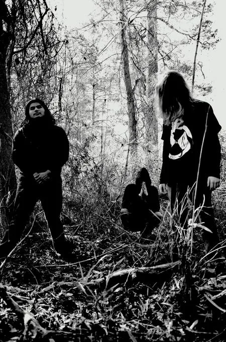Syneresis