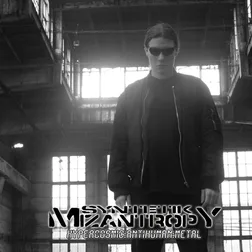 Syntetik Mizantropy