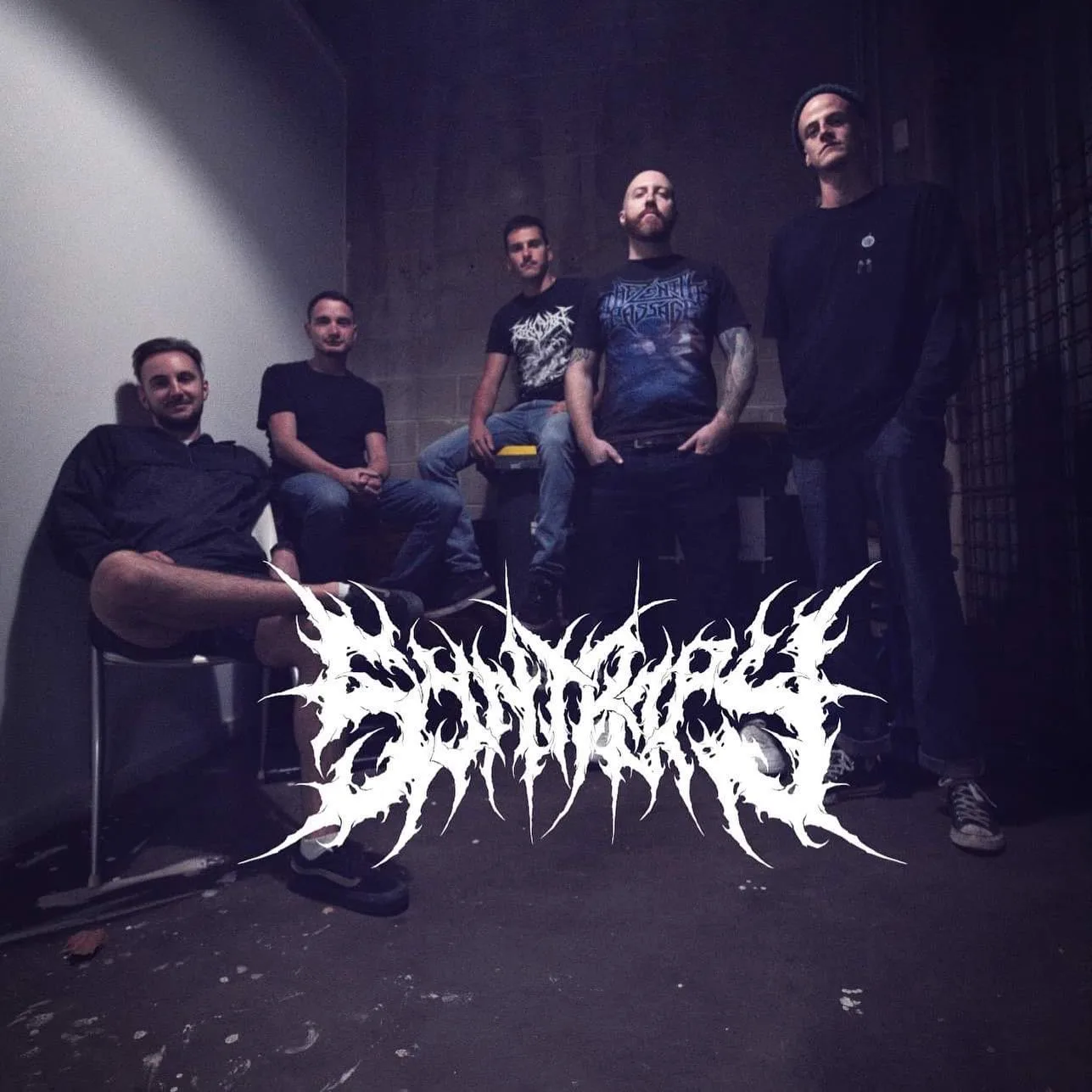 Syntropy