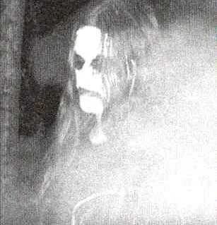 Taphophilia