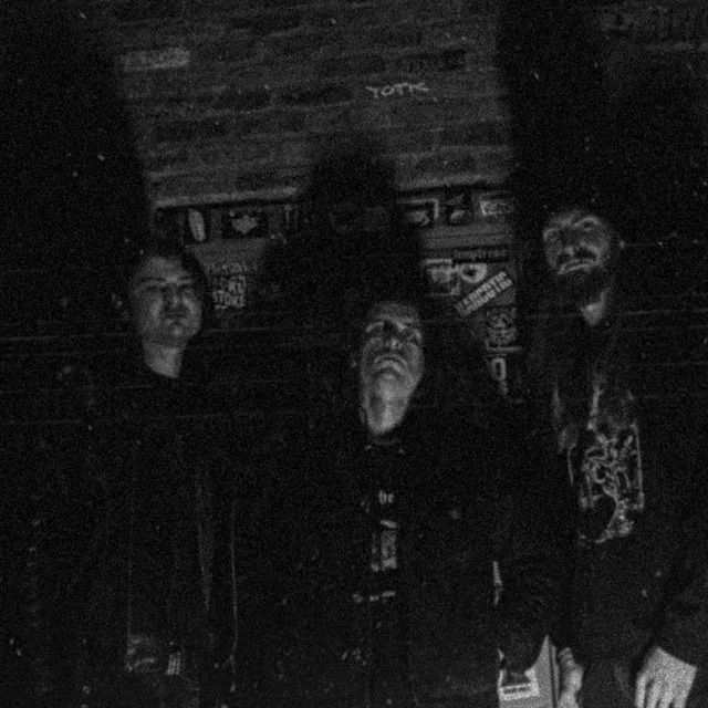 Temple of the Fuzz Witch