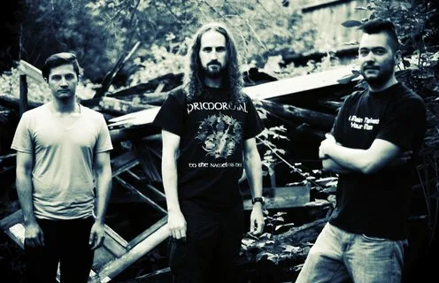 Thornsroot