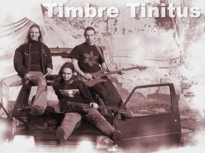 Timbre Tinitus