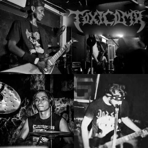Toxicoma