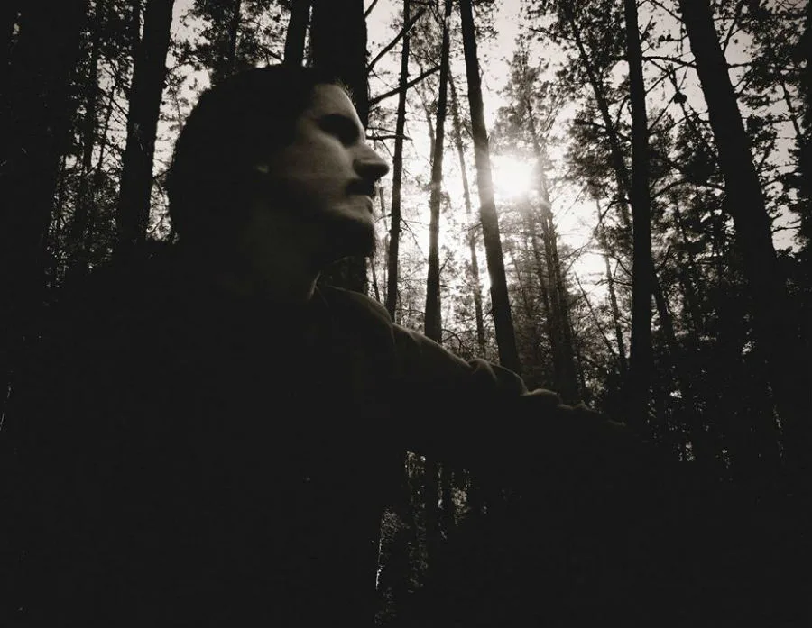 Trees, Clouds & Silence