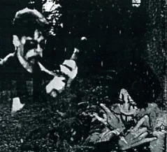 Trollskog