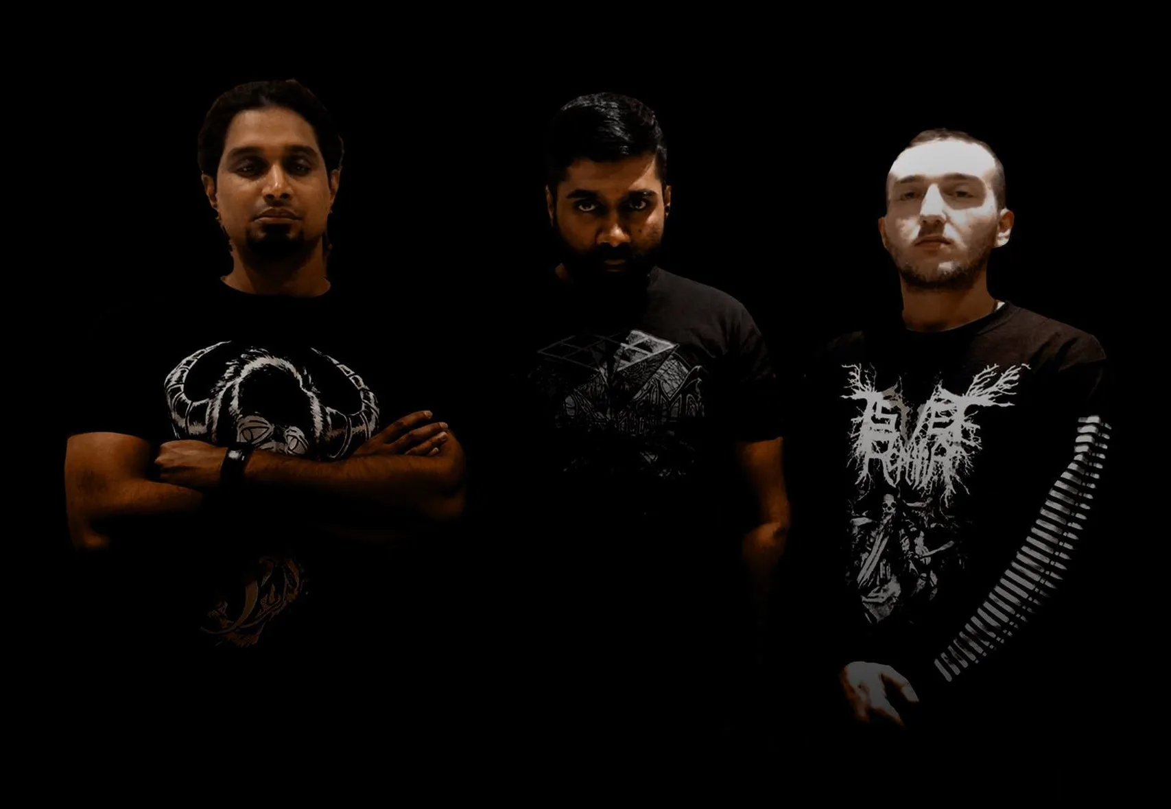 Tsvet Reptilia