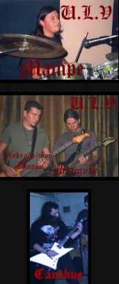 U.L.V.