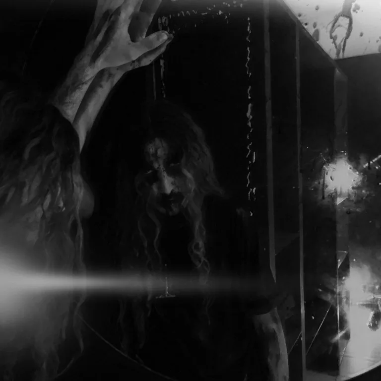 V/H/S