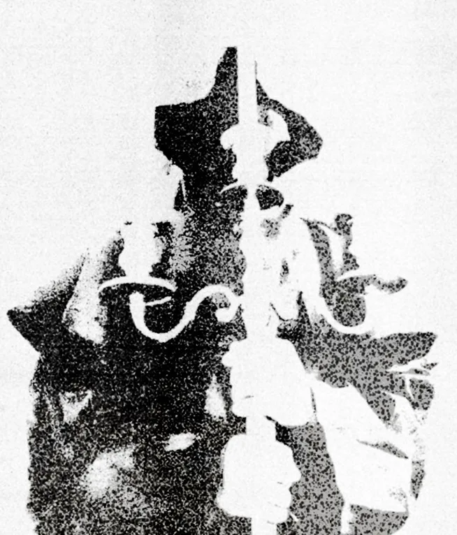 Vampyric Jųju