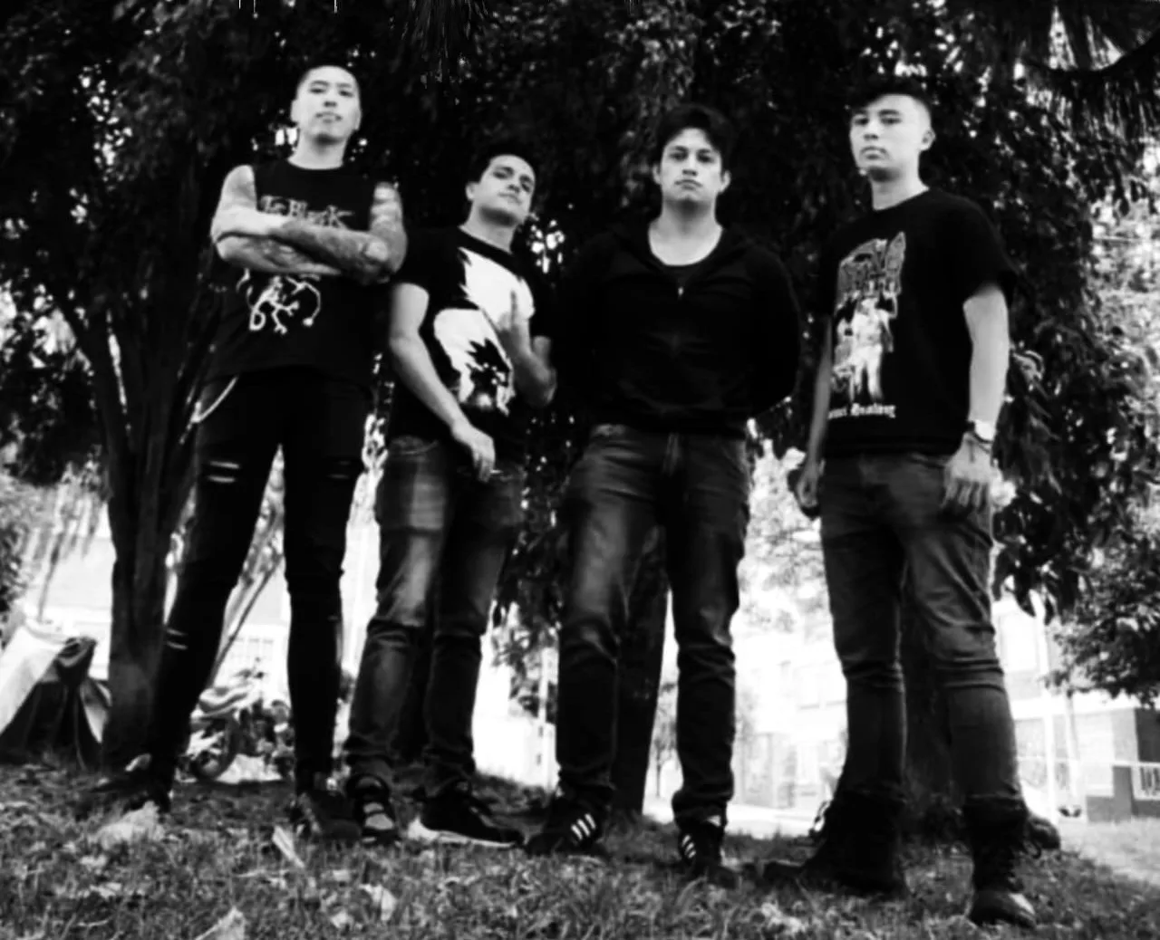 Vehemented