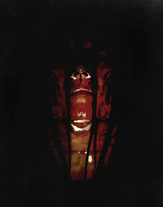 Venien