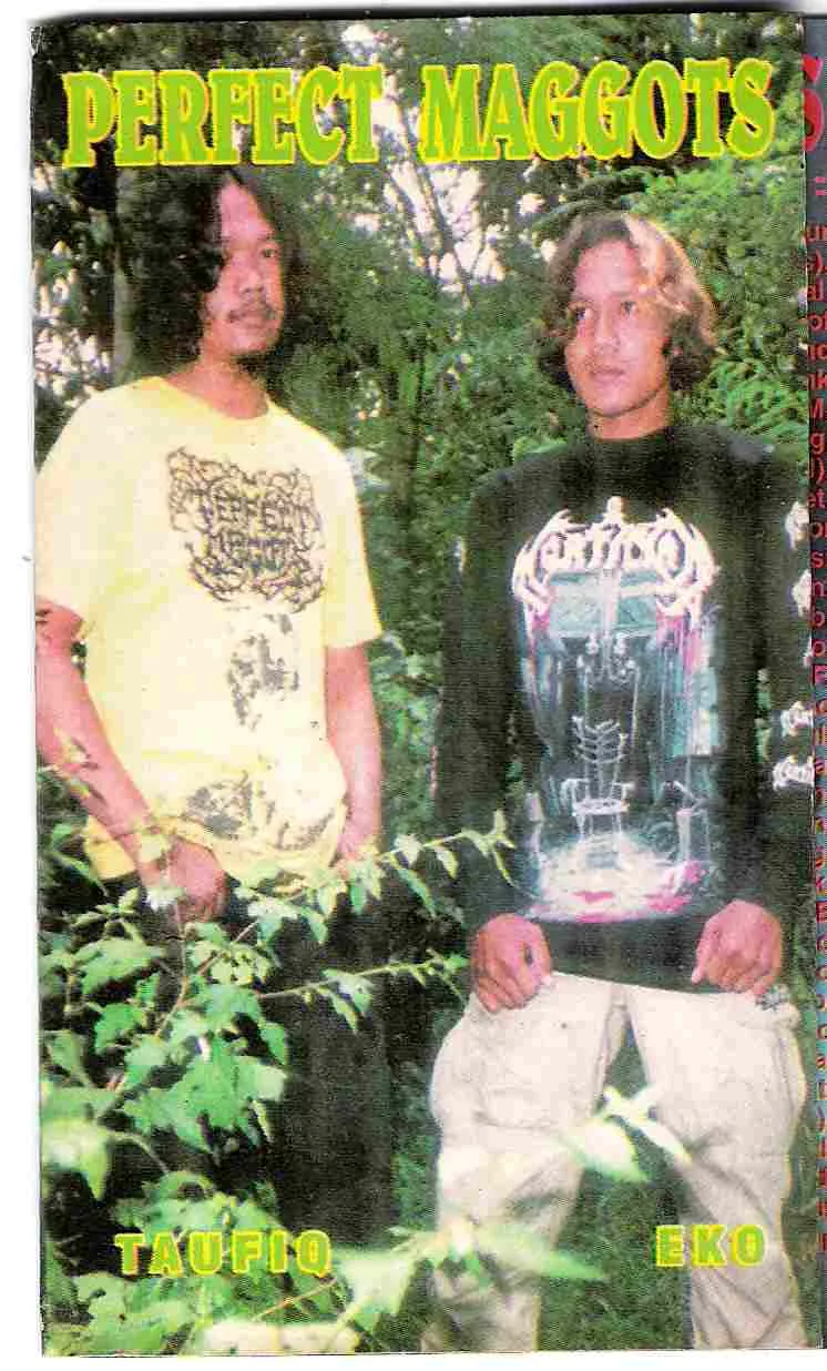 Perfect Maggots