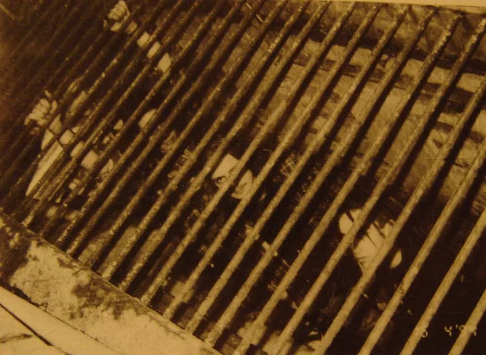 Very, Very Dead & Gory