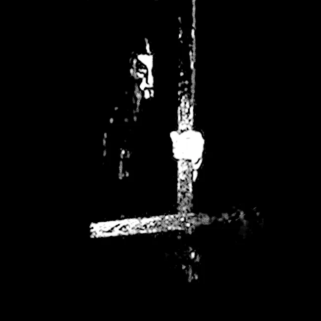 Vetus