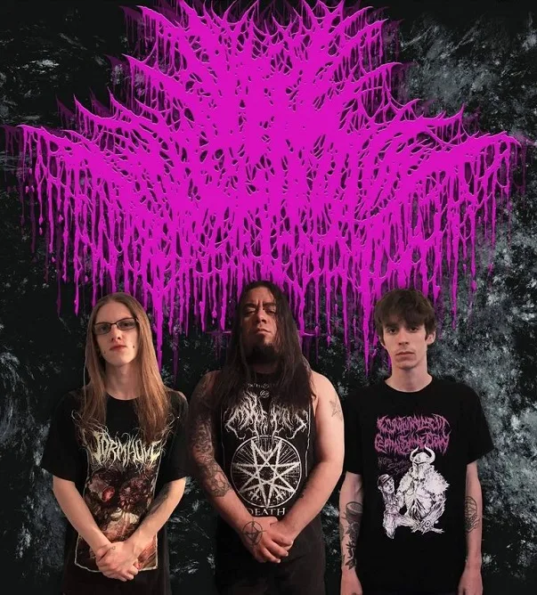 Vile Impregnation