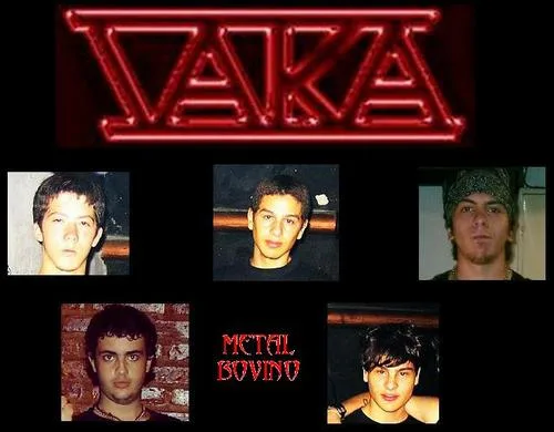 Vaka