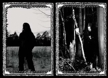 Wald Geist Winter
