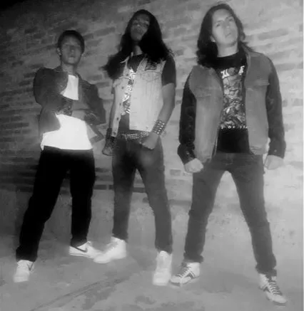 Wild Fist