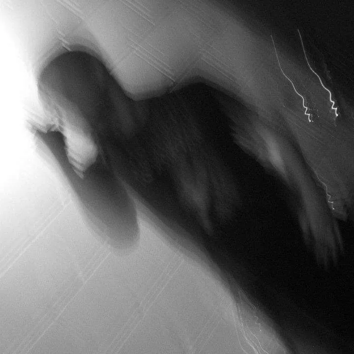 Wilderness of Mirrors