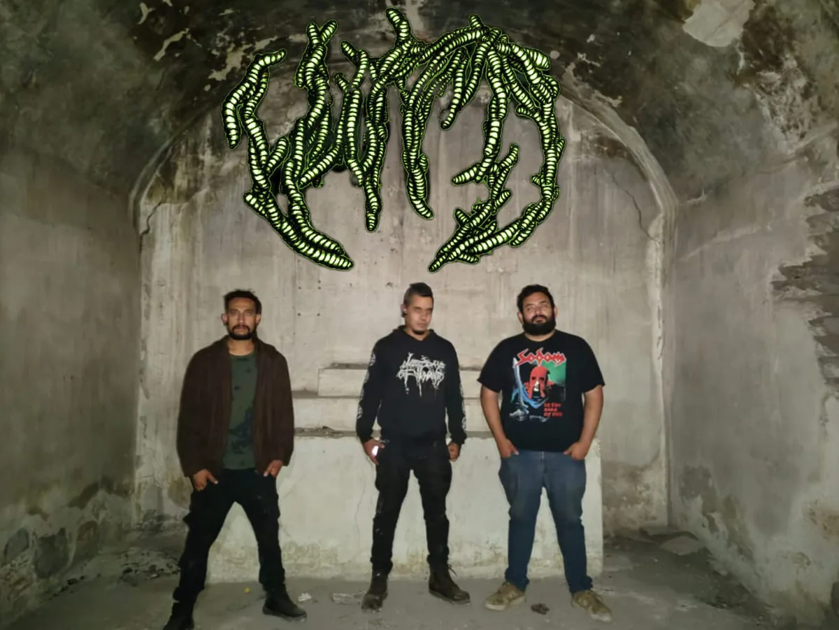 Worms
