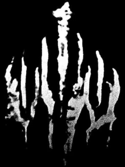 Wylve