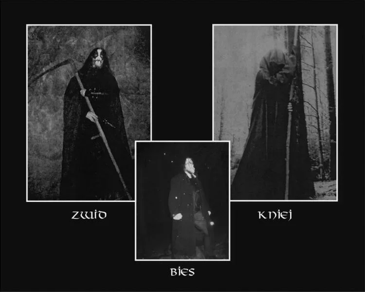 Żmij
