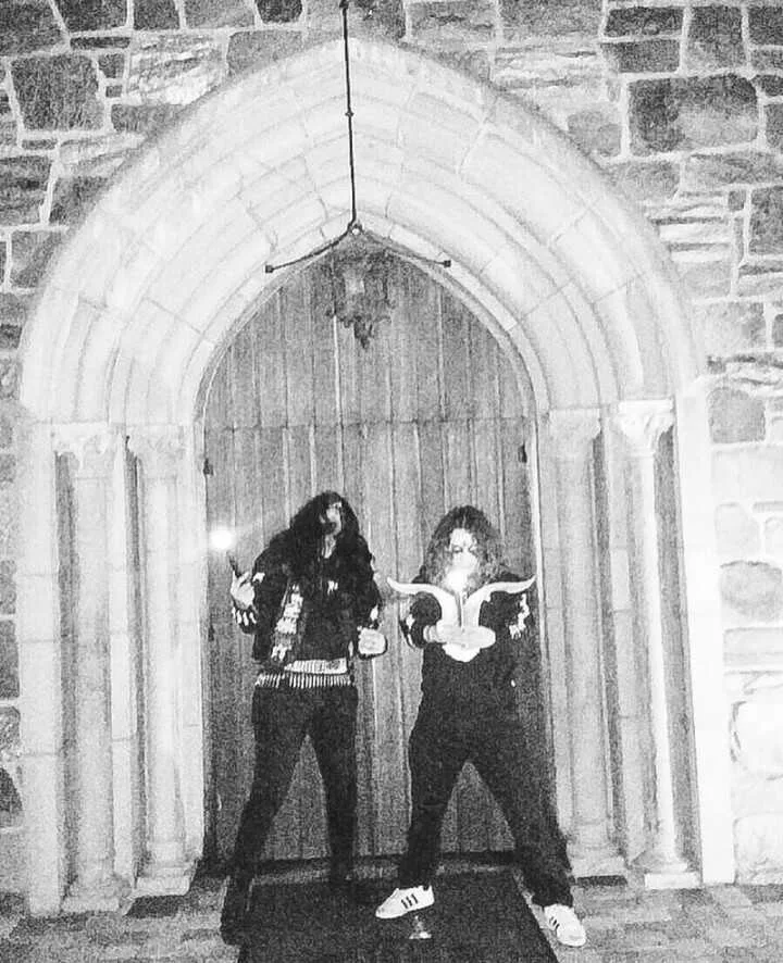 Zygotical