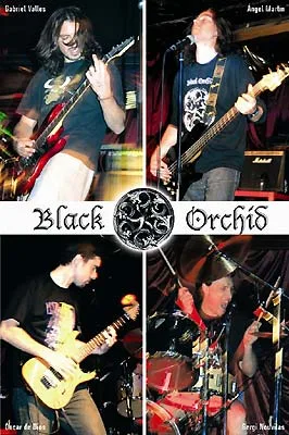 Black Orchid