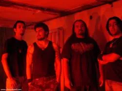 Diviner