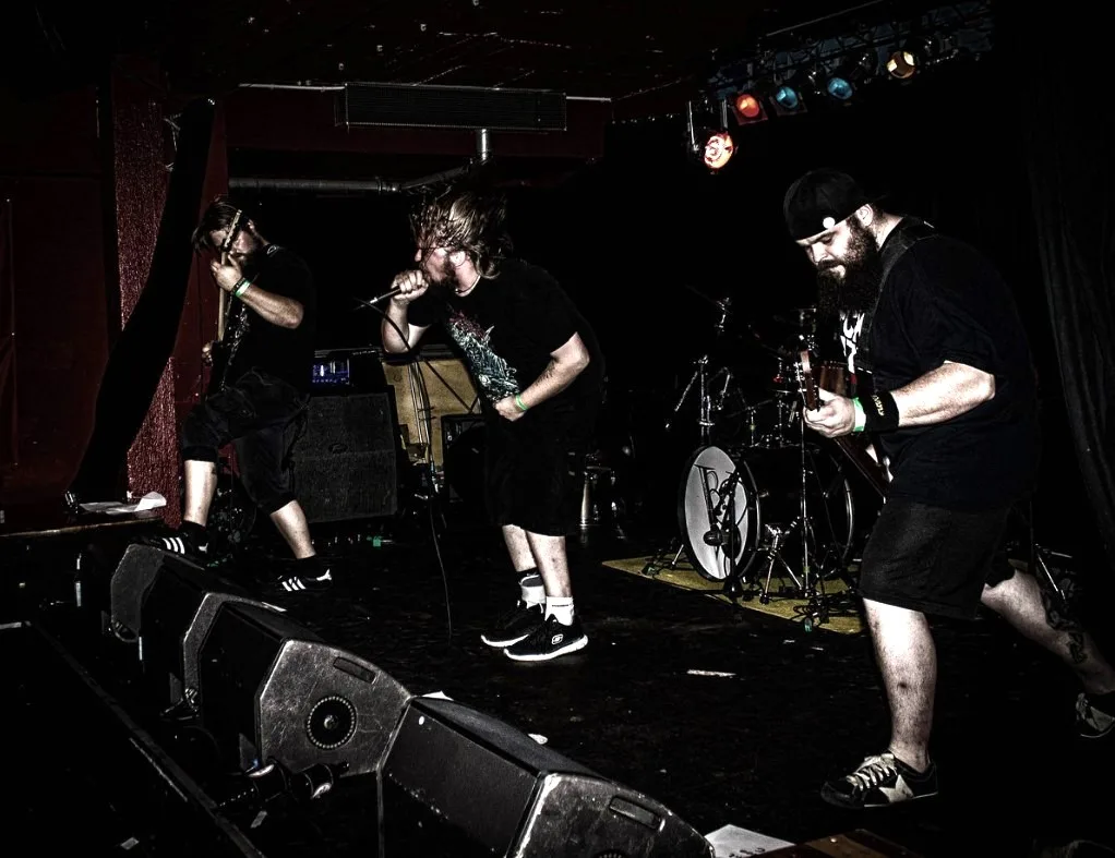 Malignant Humanity