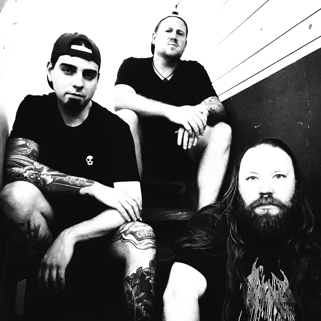 Born of a Bastard King