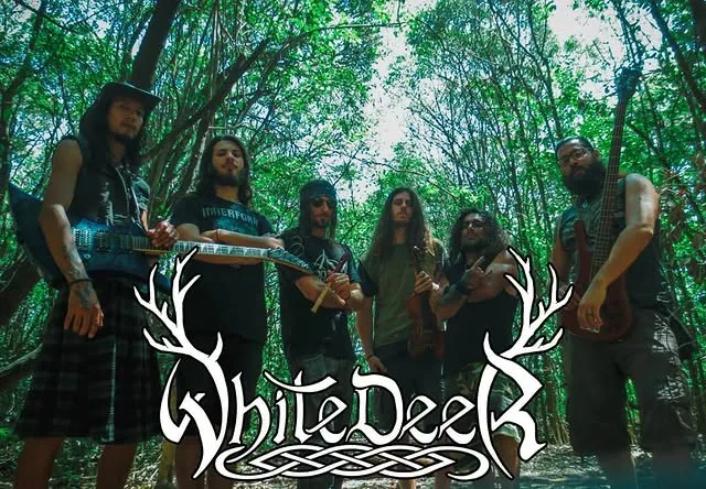 White Deer