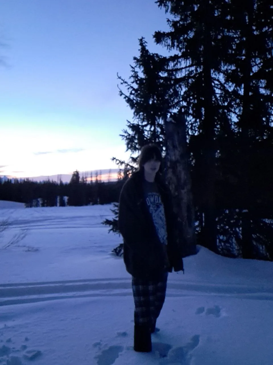 Sickness of the Halcyon