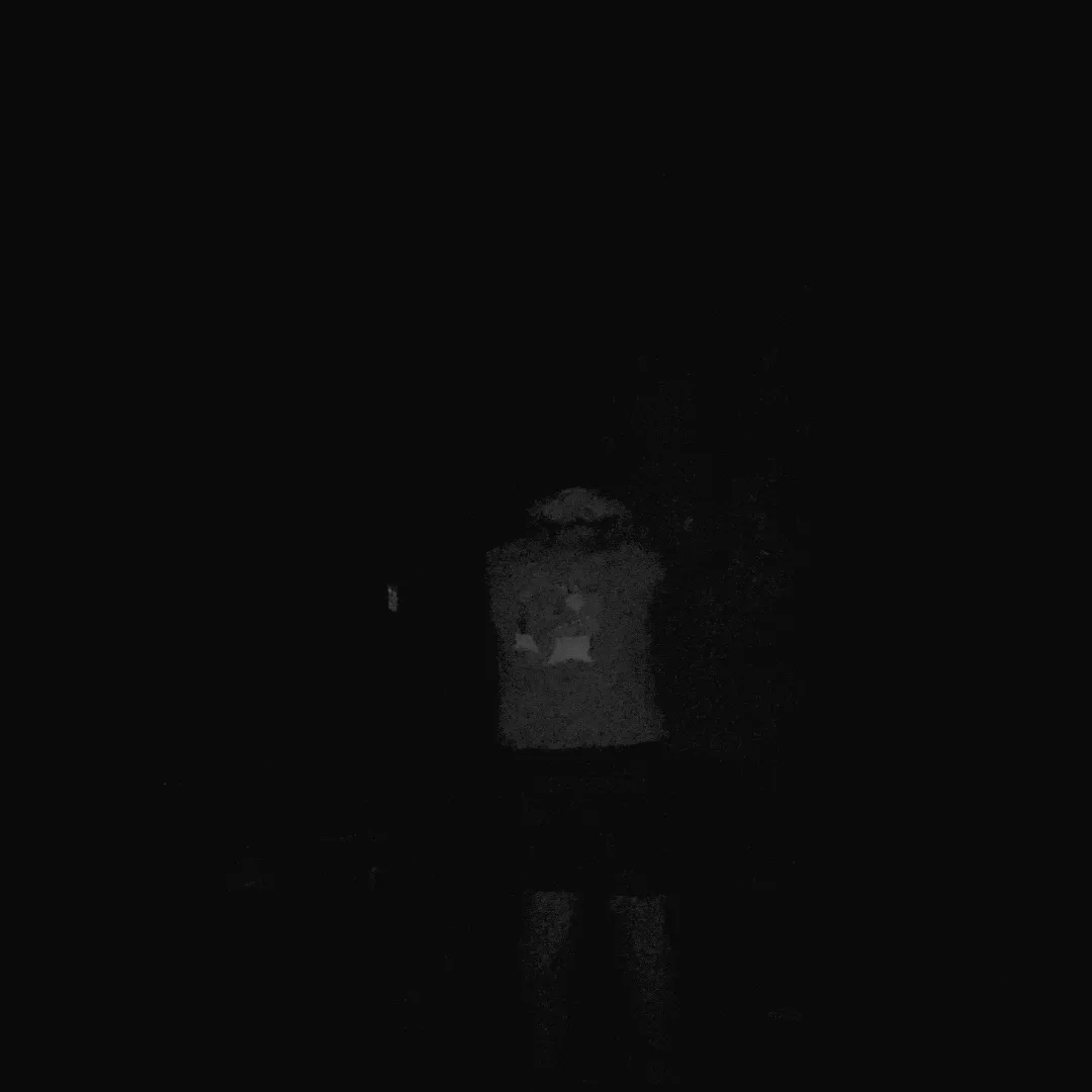 Cry of Fear