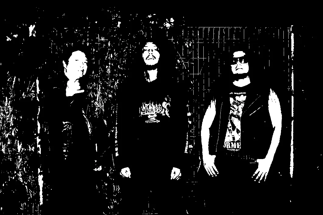 Black Owls