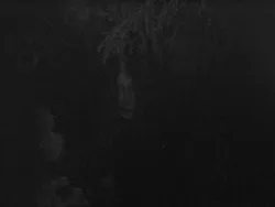 Folkvang