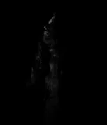 Les Litanies des Ténèbres