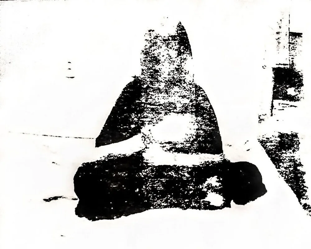 Putrefactive Dismemberment