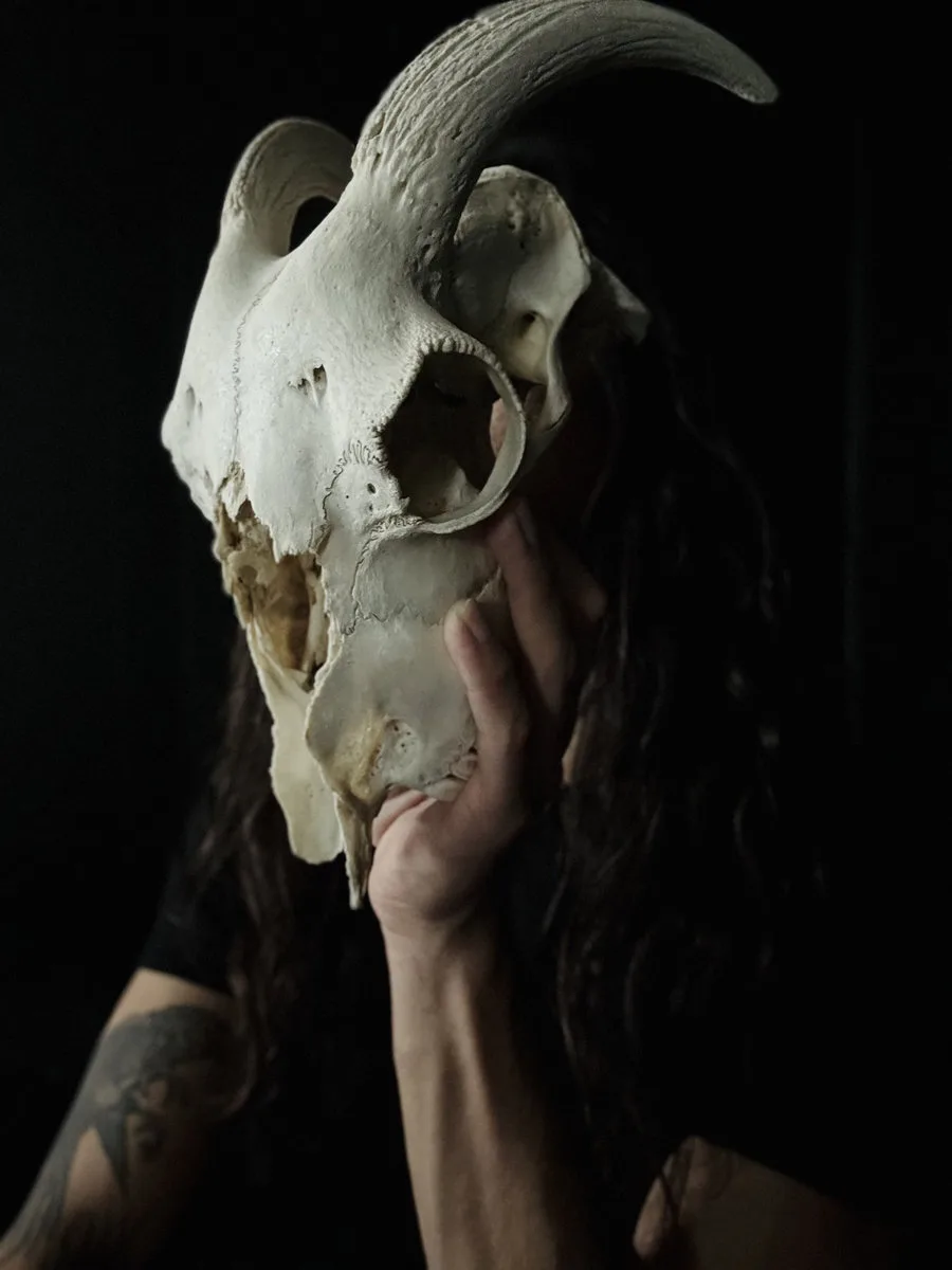 Wyrmtongue
