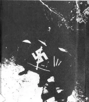 Kraujo Reichas
