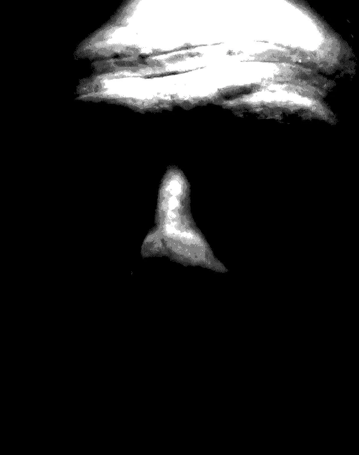 Mortuarium