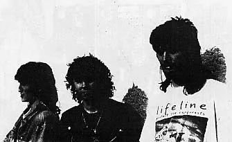 Infest