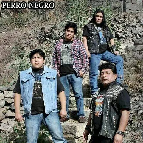 Perro Negro
