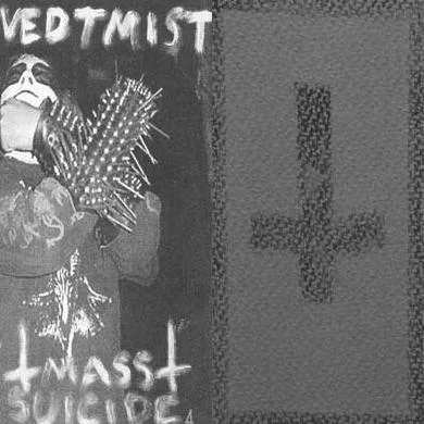 Vedtmist