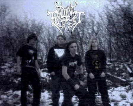 Odins Forest