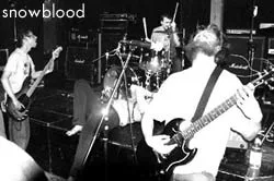 Snowblood