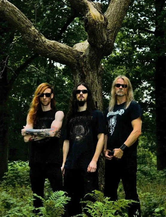 Noise Forest